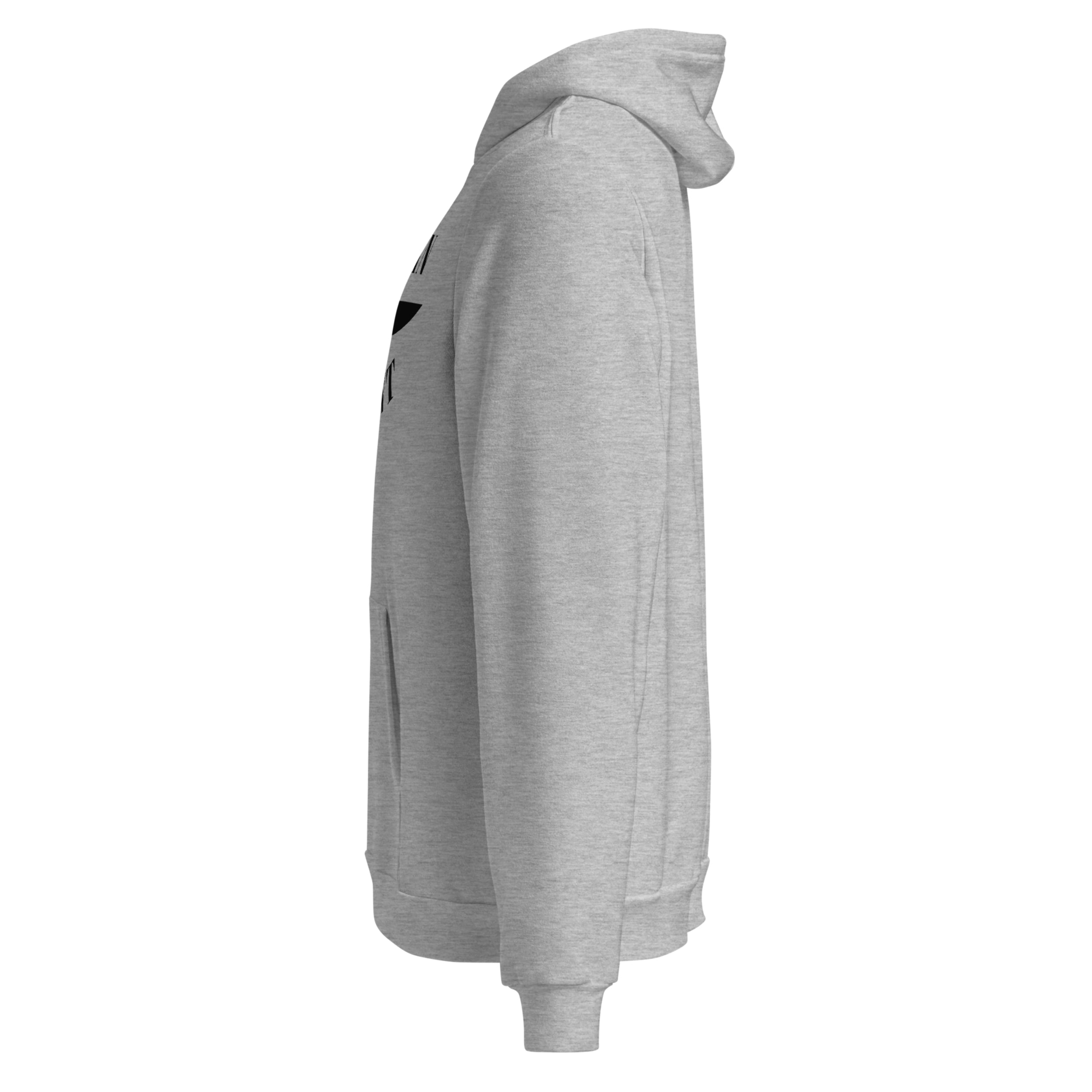 American Dissent Hoodie | Bella + Canvas Unisex Fleece Pullover | Premium Printed Activist Hoodie